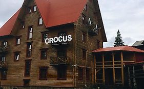 Crocus